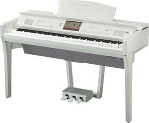 1558162435681-CVP709PWH Y WITH BENCH.jpg